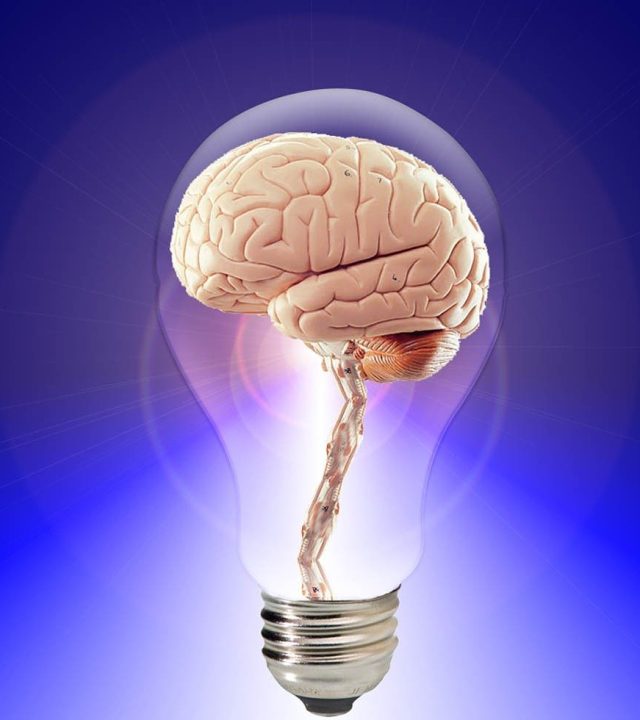 brain, think, human-20424.jpg
